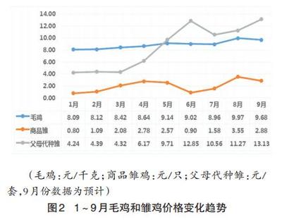 2014年前三季度白羽肉雞產(chǎn)業(yè)發(fā)展與未來(lái)走勢(shì)分析